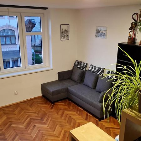 Kousek Do Prirody I Do Centra Apartment Pisek  Bagian luar foto