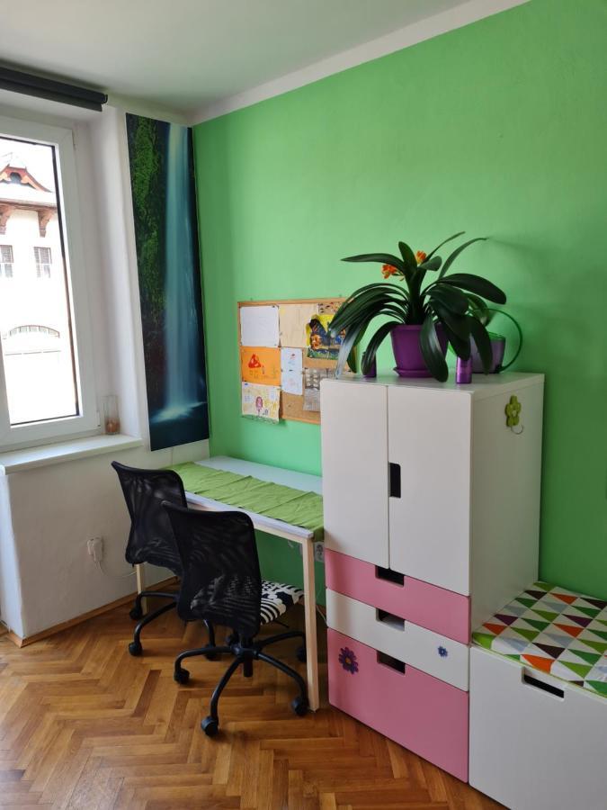 Kousek Do Prirody I Do Centra Apartment Pisek  Bagian luar foto