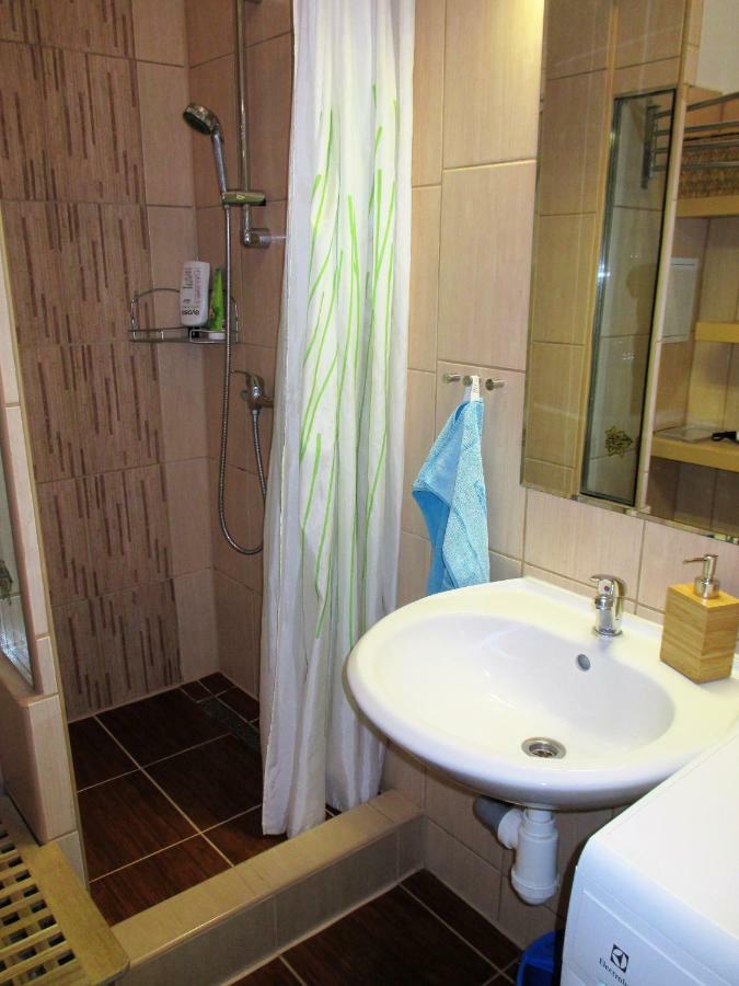 Kousek Do Prirody I Do Centra Apartment Pisek  Bagian luar foto