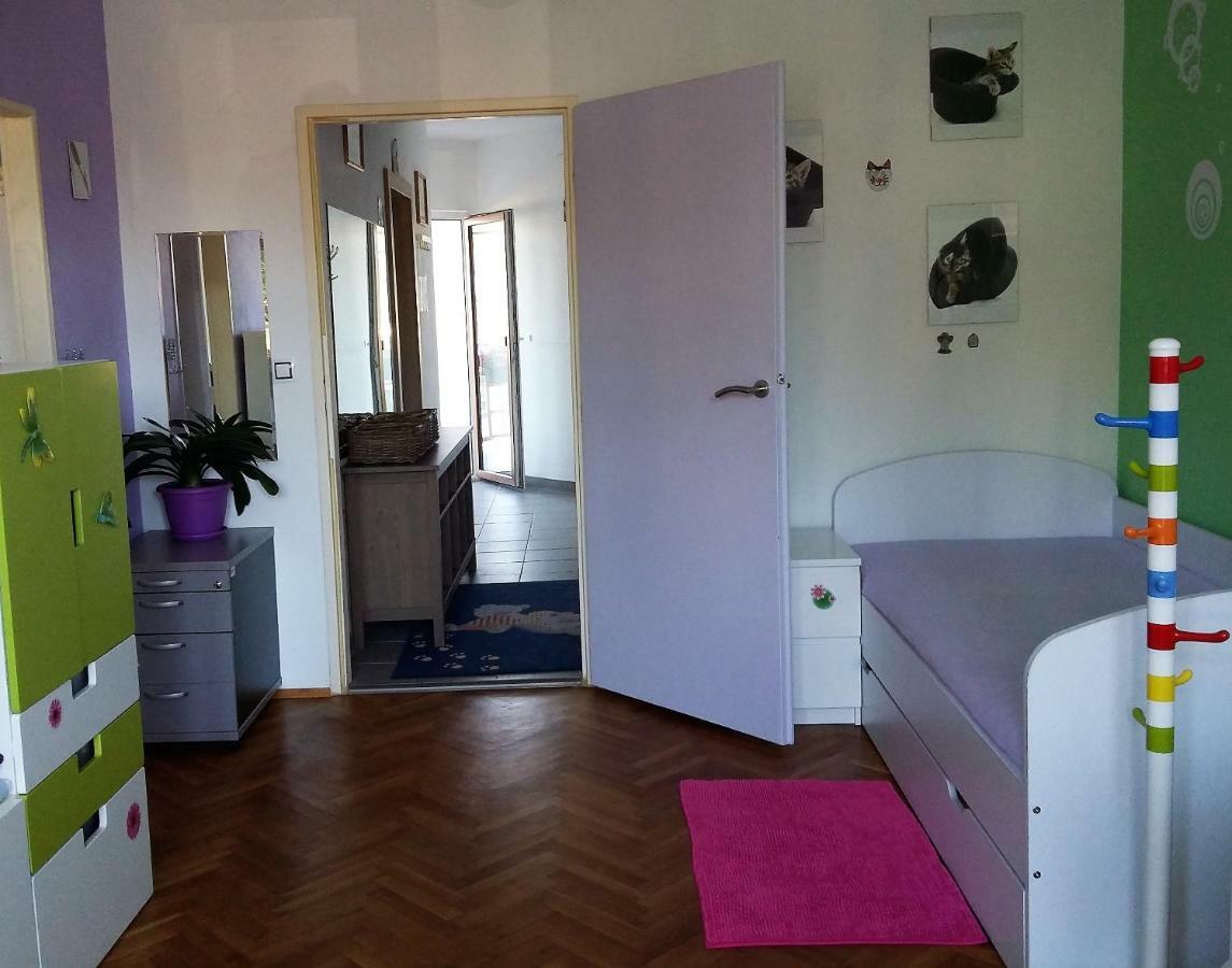 Kousek Do Prirody I Do Centra Apartment Pisek  Bagian luar foto